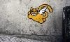 flying cat